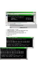 Referāts 'Protokols ICMP', 4.