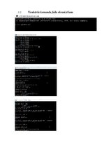 Konspekts 'Operētājsistēmas komandu faili cmd vid', 12.
