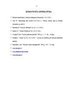 Referāts 'Baltijas valstu sadarbība', 15.