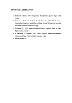 Referāts 'Etnopolitika, tās mērķi un modeļi', 9.