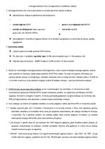 Prezentācija 'Aizkuņģa dziedzera vēzis', 14.