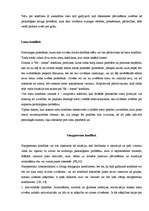 Konspekts 'Konflikts, tā veidi', 16.