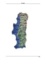 Referāts 'Portugāle', 9.