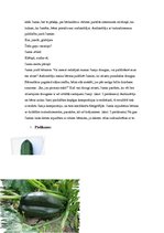 Konspekts 'Plāns vienai dienai. Jumis', 2.