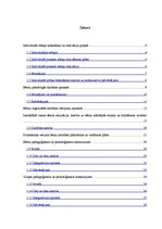 Prakses atskaite 'Pirmsskolas izglītības skolotāja prakses atskaite', 2.