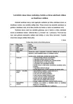 Prakses atskaite 'Pirmsskolas izglītības skolotāja prakses atskaite', 17.