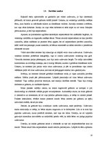 Prakses atskaite 'Pirmsskolas izglītības skolotāja prakses atskaite', 19.