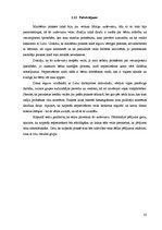 Prakses atskaite 'Pirmsskolas izglītības skolotāja prakses atskaite', 33.