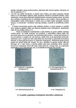 Referāts 'Masāžas paņēmienu fizioloģiskās iedarbības mehānismi', 10.
