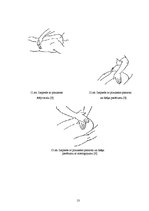 Referāts 'Masāžas paņēmienu fizioloģiskās iedarbības mehānismi', 12.