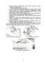 Referāts 'Masāžas paņēmienu fizioloģiskās iedarbības mehānismi', 15.