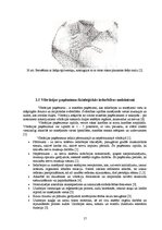 Referāts 'Masāžas paņēmienu fizioloģiskās iedarbības mehānismi', 16.