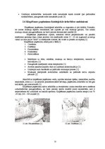 Referāts 'Masāžas paņēmienu fizioloģiskās iedarbības mehānismi', 17.