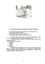 Referāts 'Masāžas paņēmienu fizioloģiskās iedarbības mehānismi', 18.