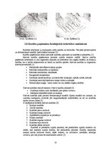 Referāts 'Masāžas paņēmienu fizioloģiskās iedarbības mehānismi', 19.