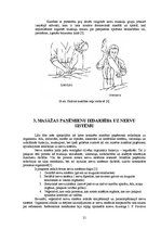 Referāts 'Masāžas paņēmienu fizioloģiskās iedarbības mehānismi', 20.