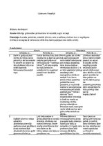 Paraugs 'Aborts un eitonāzija no filosofijas viedokļa', 1.