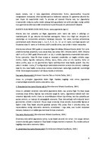 Referāts 'Jūgendstils Rīgas arhitektūrā', 6.