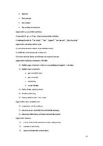 Referāts 'Jūgendstils Rīgas arhitektūrā', 13.