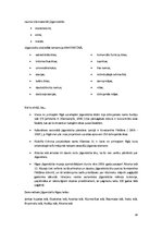 Referāts 'Jūgendstils Rīgas arhitektūrā', 14.