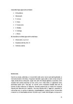 Referāts 'Jūgendstils Rīgas arhitektūrā', 15.