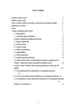 Referāts 'Kreditēšanās iespējas nekustamā īpašuma iegādei privātpersonām Valmierā', 3.