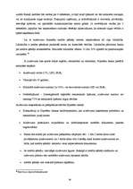 Referāts 'Kreditēšanās iespējas nekustamā īpašuma iegādei privātpersonām Valmierā', 39.