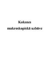 Referāts 'Koksnes makroskopiskā uzbūve', 1.
