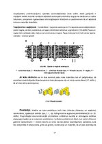 Referāts 'Līmētas koksnes konstrukcijas un tehnoloģijas', 14.