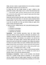 Referāts 'Valsts pārvalde un birokrātija Latvijā', 6.