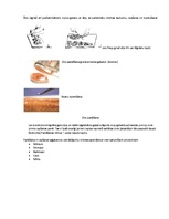 Konspekts 'Ēdienu gatavošanas tehnoloģija. Zivis', 7.