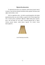 Konspekts 'Materiālu piegriešana', 13.