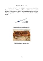 Konspekts 'Materiālu piegriešana', 22.