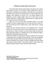 Referāts 'Jauniešu dzejas krājuma veidošana', 9.