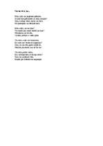 Referāts 'Jauniešu dzejas krājuma veidošana', 41.