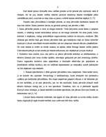 Referāts 'Valūtas risks un tā pārvaldīšana', 9.