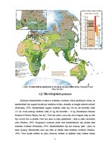 Referāts 'Neandertālietis', 5.
