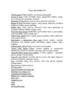 Konspekts 'Tērpu vēsturiskie stili', 1.