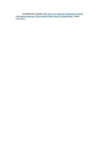 Eseja 'Zelta 20tie', 2.