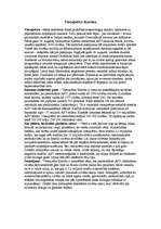 Eseja 'Viesuļvētra Katrīna', 1.