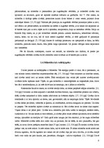 Referāts 'Mīlestības būtības izpēte', 9.