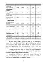 Referāts 'Rīgas Fondu biržas saimnieciskās darbības analīze', 17.