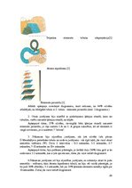 Referāts 'Ķīmijas periodiskās tabulas vēstures attīstība', 28.