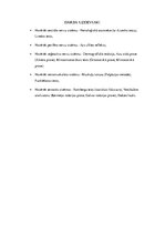 Konspekts 'Sporta medicīna - nervu sistēmas izmeklēšana', 2.