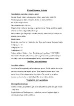 Konspekts 'Sporta medicīna - nervu sistēmas izmeklēšana', 3.