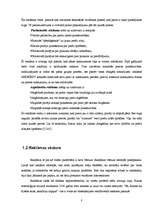 Referāts 'Reklāma, zinātniski pētnieciskais darbs ar prakses elementiem', 6.