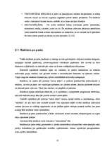 Referāts 'Reklāma, zinātniski pētnieciskais darbs ar prakses elementiem', 10.