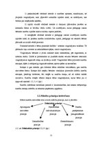 Diplomdarbs 'Kustību aktivitātes kā bērnu fiziskās aktivitātes veicinātājs jaunākajā pirmssko', 12.