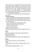 Diplomdarbs 'Kustību aktivitātes kā bērnu fiziskās aktivitātes veicinātājs jaunākajā pirmssko', 19.