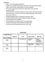 Referāts 'SVID analīze tūrismam Latgalē', 7.